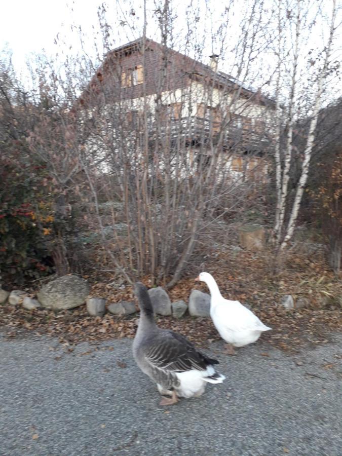 Petit Appartement En Montagne Saint-Julien-en-Champsaur Bagian luar foto